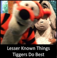 Lesser Known Things Tiggers Know Best