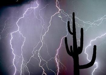 Arizona Lightning