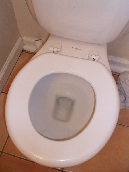The Toilet (Where the Magic Happens)