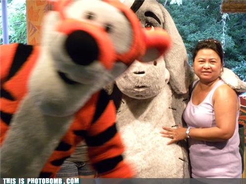 Lesser Known Things Tiggers Do Best: A Non-Exhaustive&nbsp;List